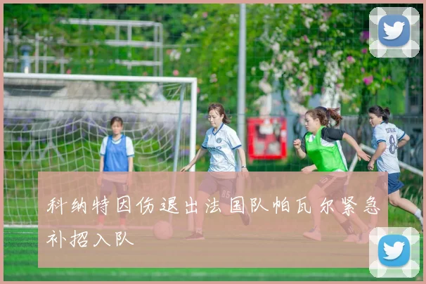 科纳特因伤退出法国队帕瓦尔紧急补招入队