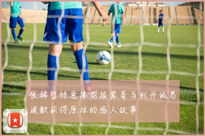 张稀哲特意捧花接蒙哥马利并诚恳道歉获得原谅的感人故事