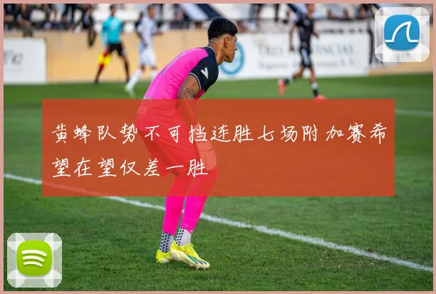 黄蜂队势不可挡连胜七场附加赛希望在望仅差一胜