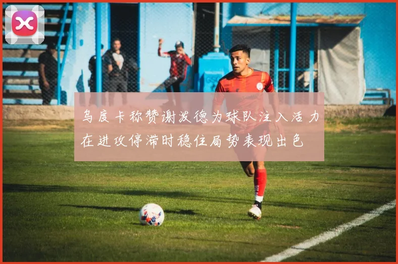 乌度卡称赞谢泼德为球队注入活力在进攻停滞时稳住局势表现出色